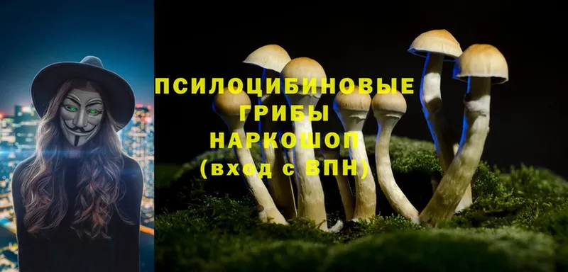 где купить наркотик  Вельск  Галлюциногенные грибы MAGIC MUSHROOMS 